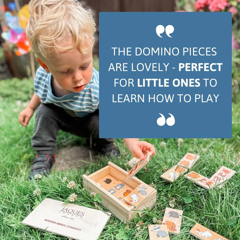 Animal Dominoes - Wildlife Game - Image 6