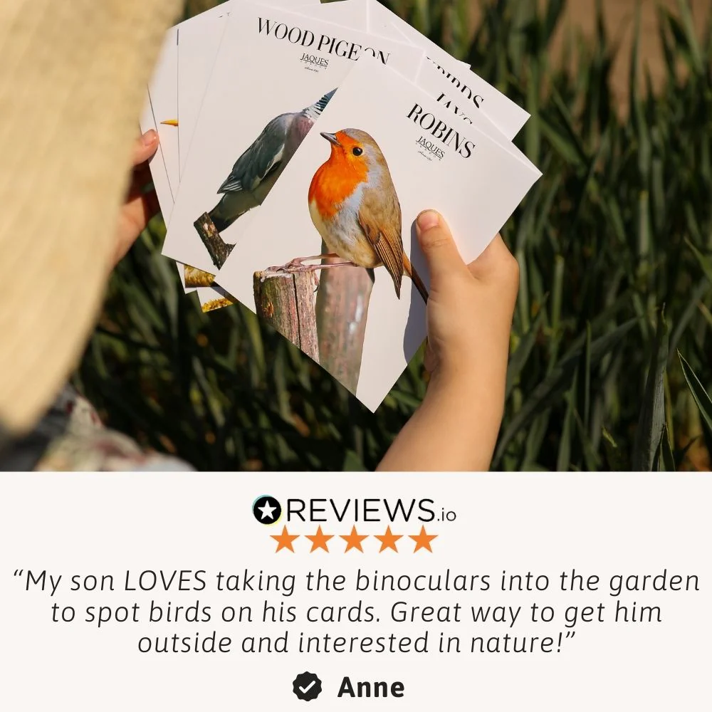 Bird Watching Kit - Image 4