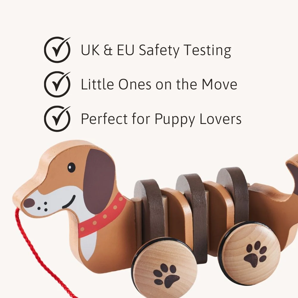 Dolly The Dachshund Pull Along Toy - Image 2