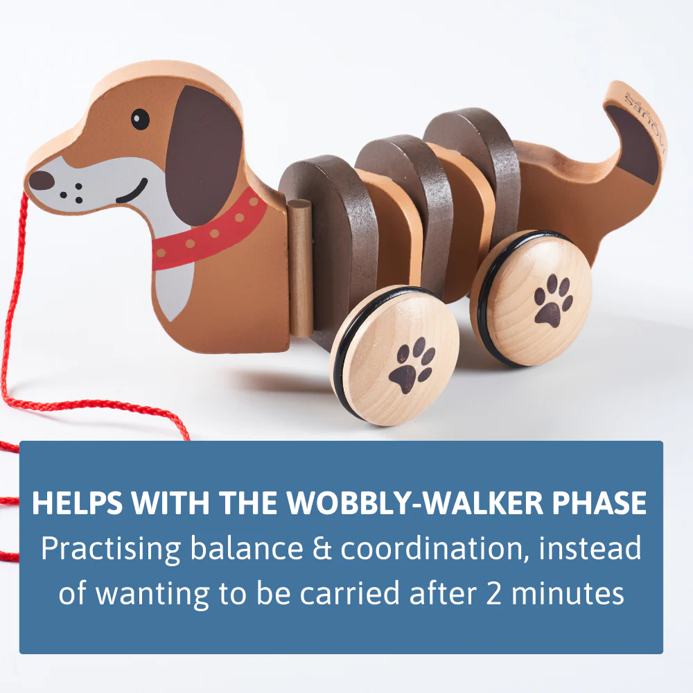 Dolly The Dachshund Pull Along Toy - Image 5