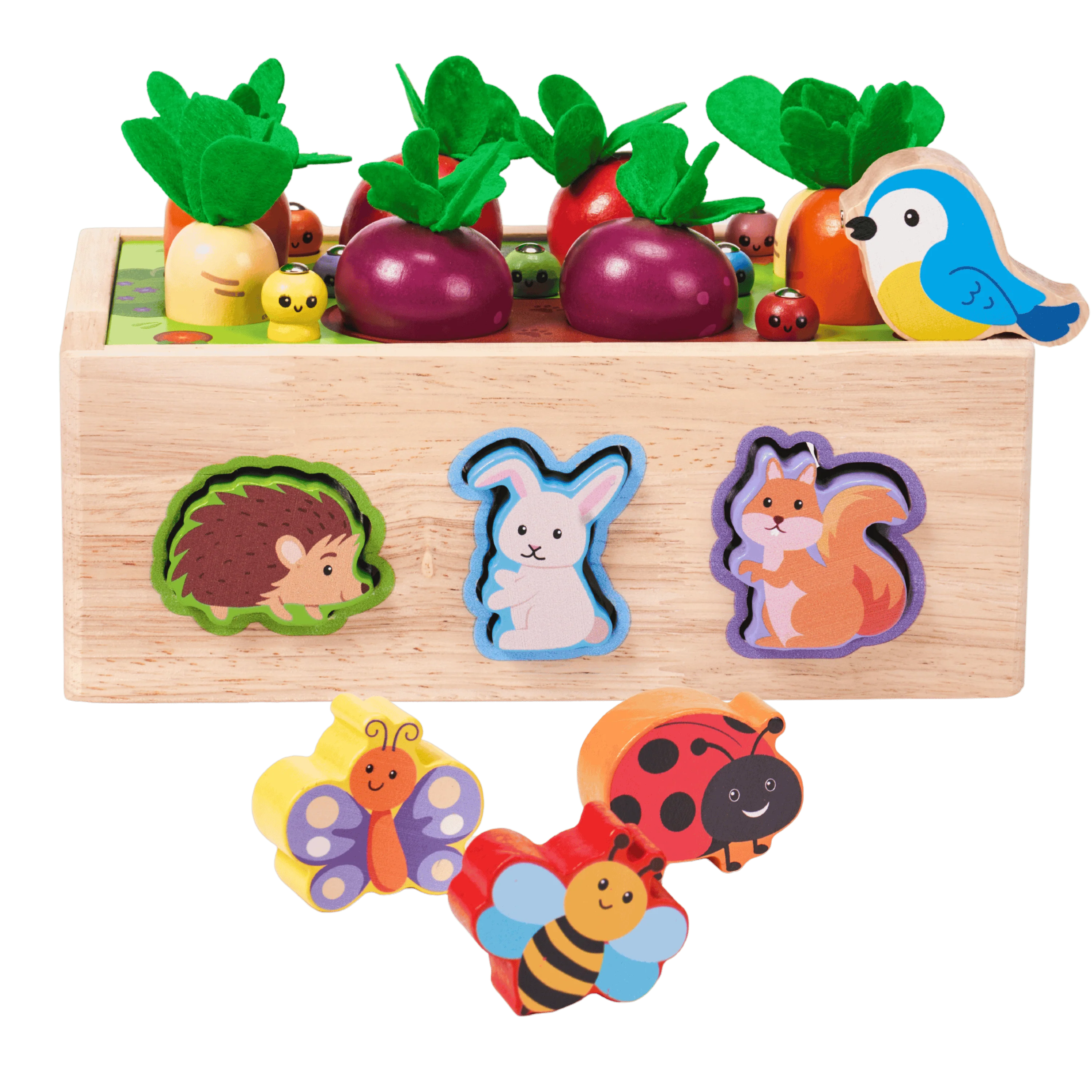 Garden Shape Sorter
