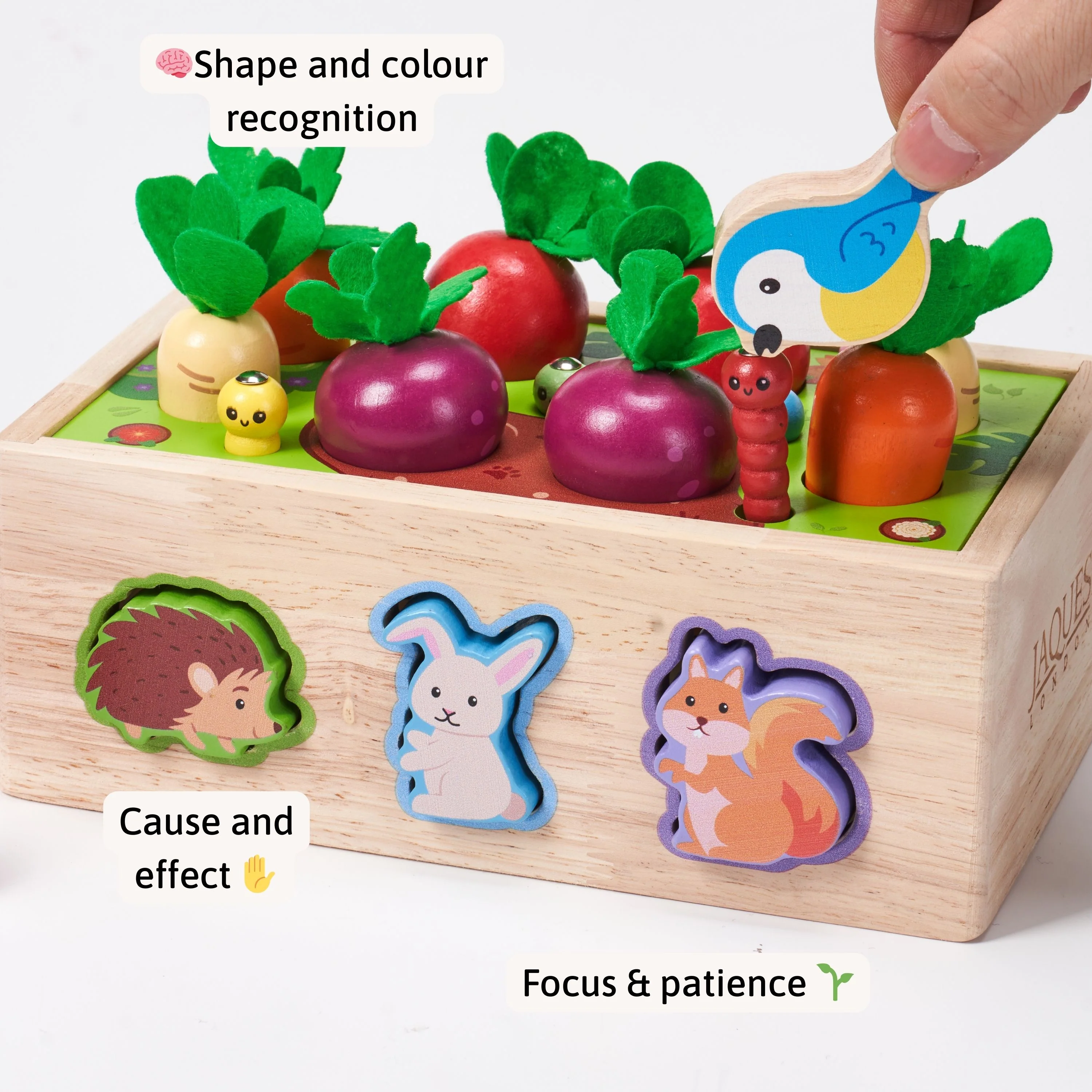 Garden Shape Sorter - Image 4