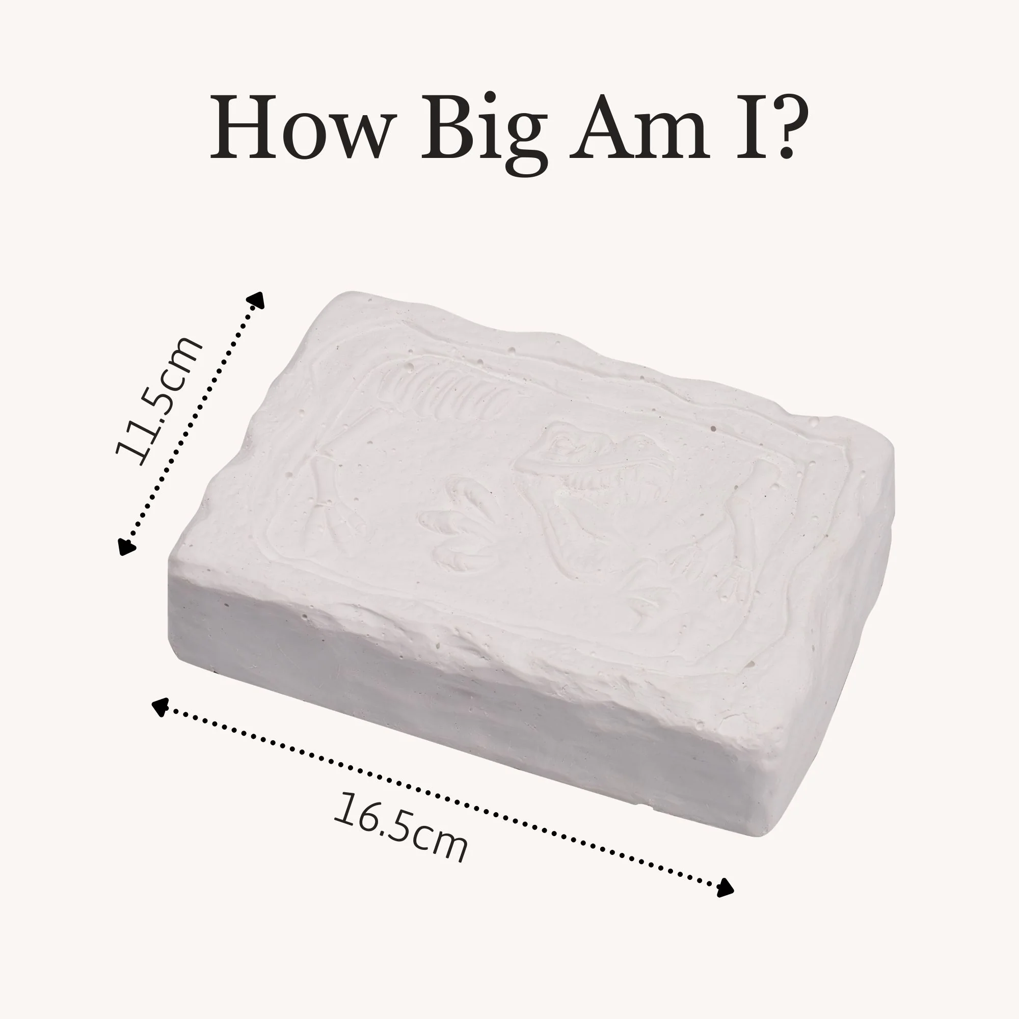 Triceratops Fossil Dig Kit - Image 6